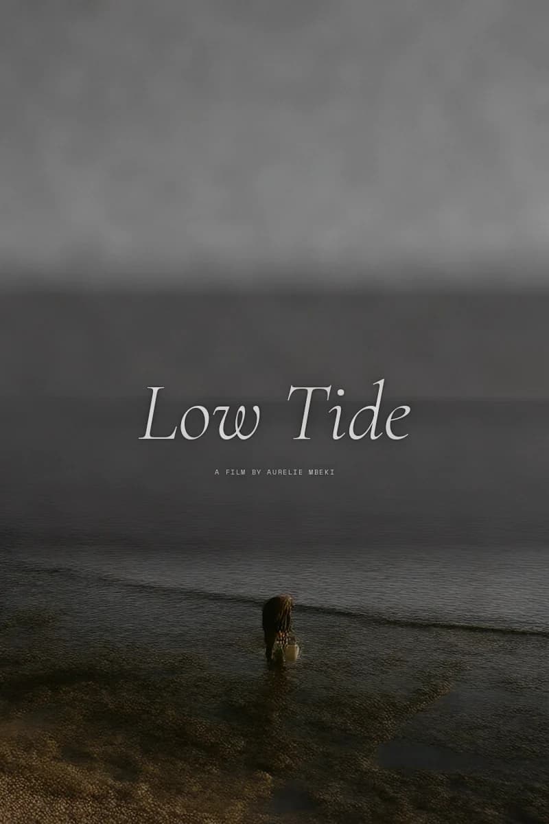 Low Tide poster