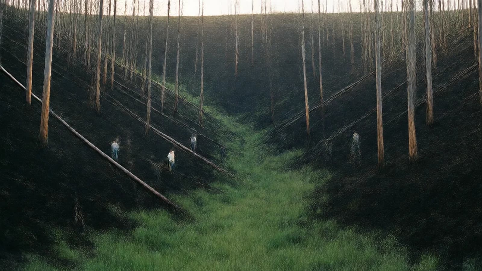 Still from Slash Pile